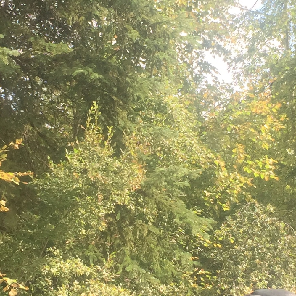 Meet your Posher, Deanna